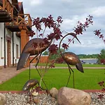 Bed & Breakfast Czapla Stare Sady Mikolajki (Mragowo)