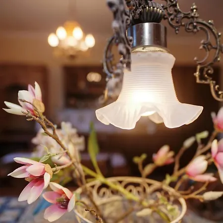 Czapla Stare Sady 住宿加早餐酒店